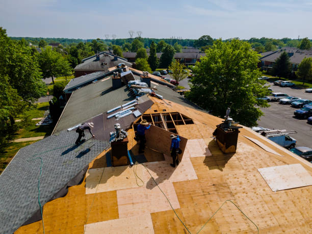 Professional Roofing Contractor in Morrisville, NC