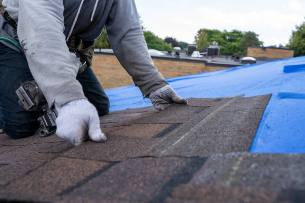 Best New Roof Installation  in Morrisville, NC